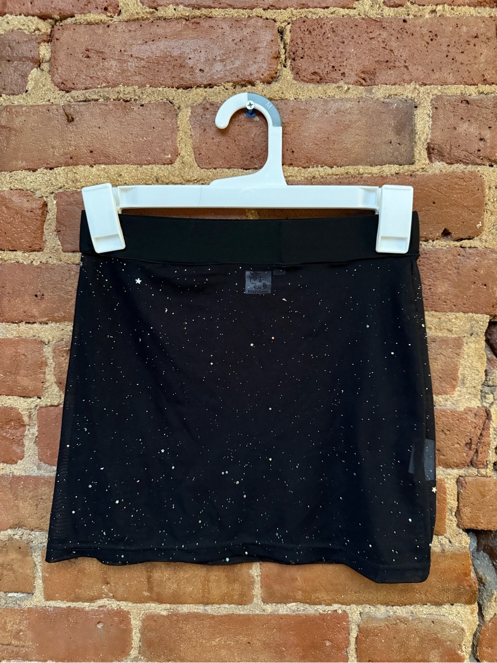 iheartraves Black Mesh Mini Skirt